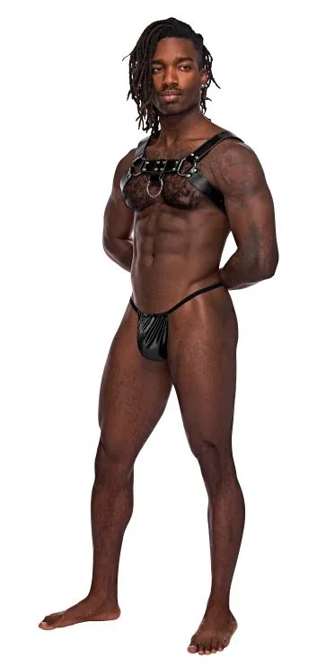 Aries Leather Chest Harness