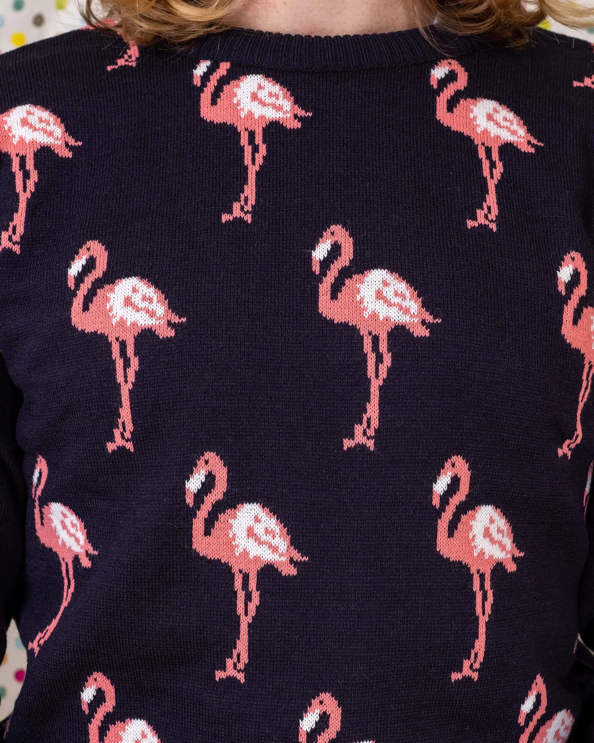 Flamingo Jumper
