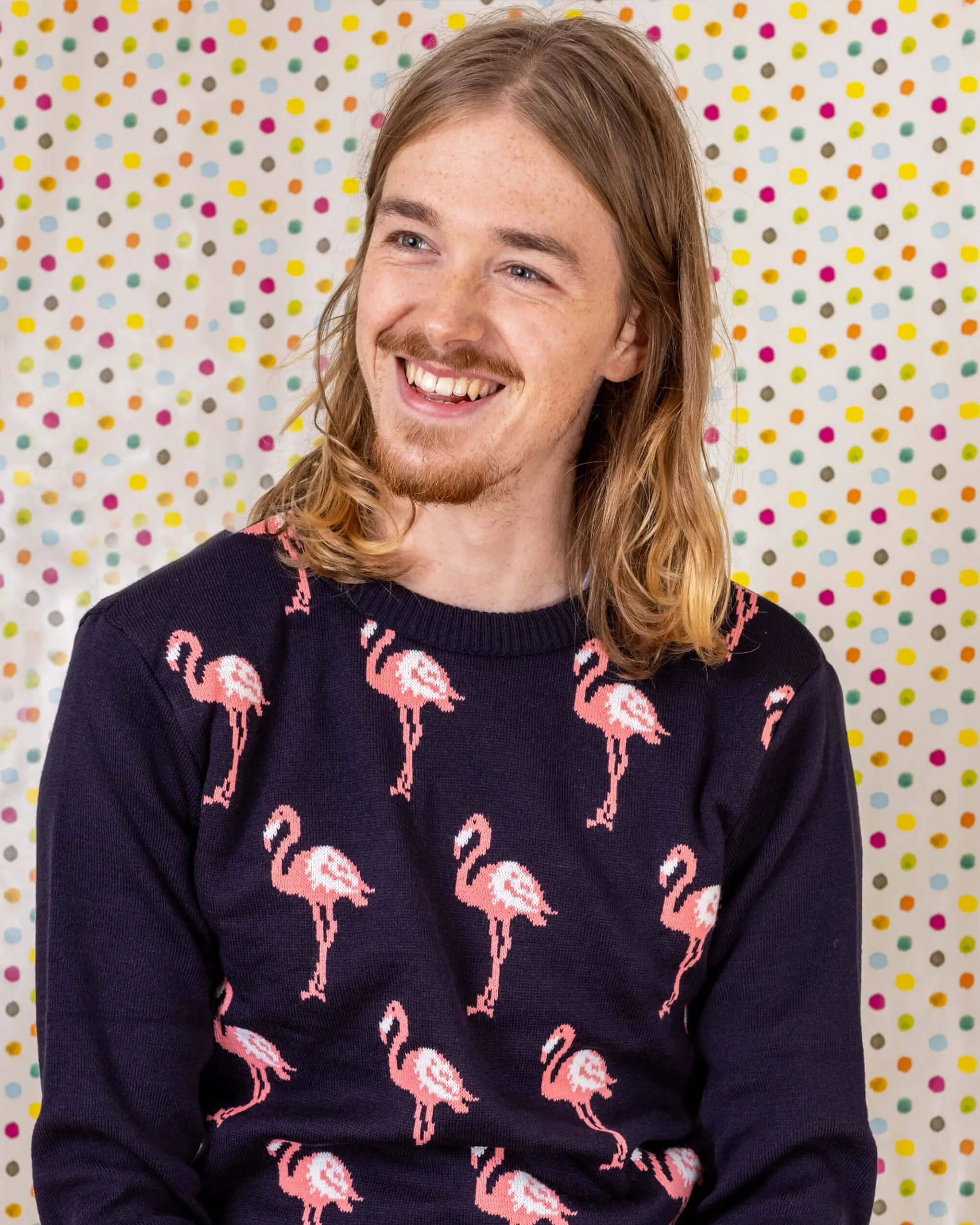 Flamingo Jumper